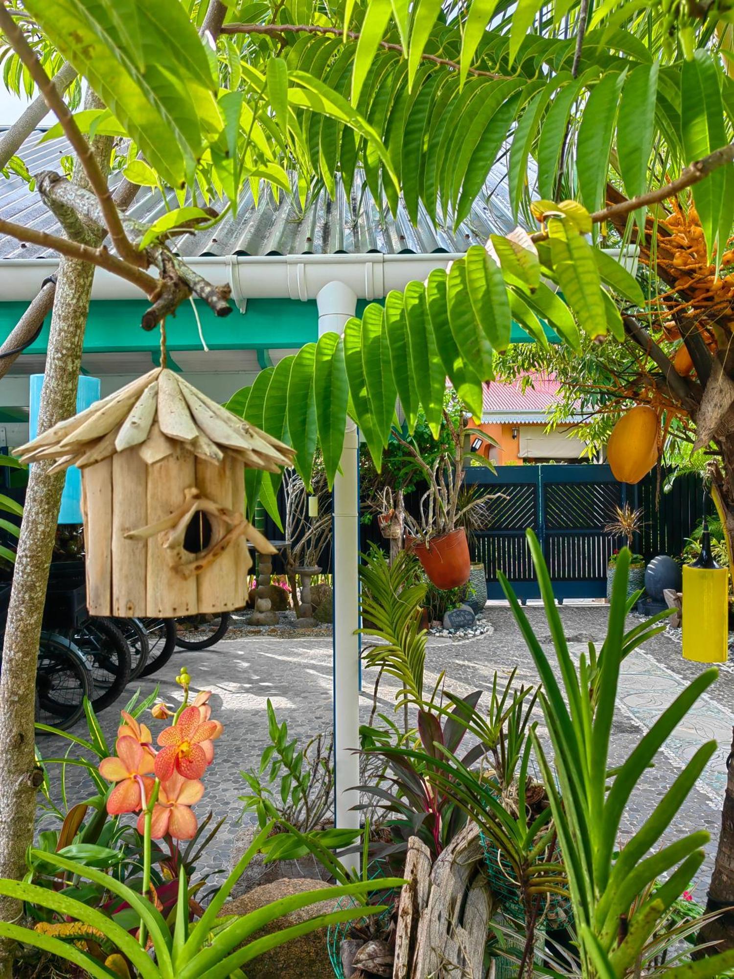 Villa Charme De L'Ile La Digue Eksteriør billede
