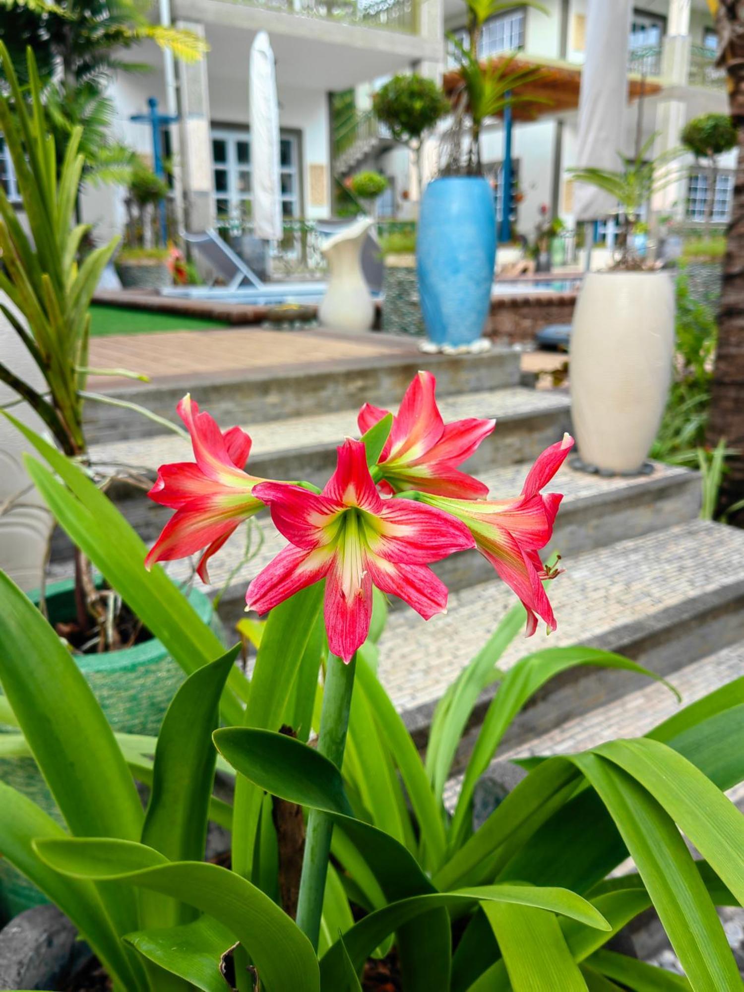 Villa Charme De L'Ile La Digue Eksteriør billede